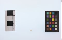 Foto von Diamant (NHMW-MIN-Ab930)